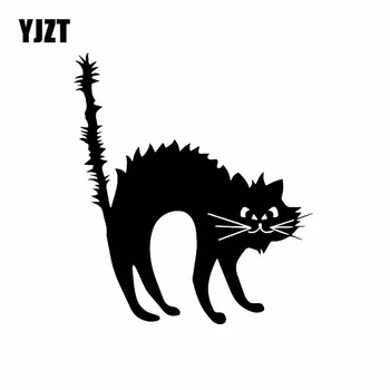 YJZT 13.3X15. 1CM Modern Sanat Pencere Araba Çıkartmaları Dekor Korkmuş Kedi Komik Vinil Çıkartması Siyah / Gümüş C24-1826