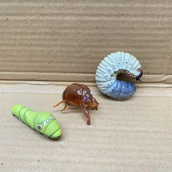 Simülasyon Böcek Serisi Gidon Larva Altın Ağustosböceği Tırtıl Eylem şekilli kalıp Süs Oyuncaklar Çocuk Hediyeler