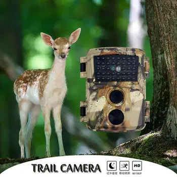 PR600C Sonbahar Camo Avcılık Kamera 1080p Gece Görüş 940nm Kızılötesi LED takip kamerası Açık Yaban Hayatı Kamera İzcilik Fotoğraf Tuzak