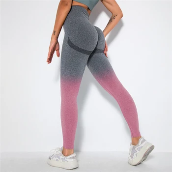 Kadın Tayt Spor Yoga Pantolon Degrade Spor Tayt Spor Koşu Pantolon Kalça Push Up Tayt Kabarcık Popo Dikişsiz Tayt