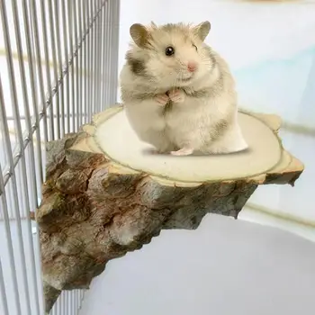 Pet Platformu Sağ Açı Ahşap Levrek Papağan Hamster Sincap Kuş Kafesi Oyun Standı Atlama Kurulu